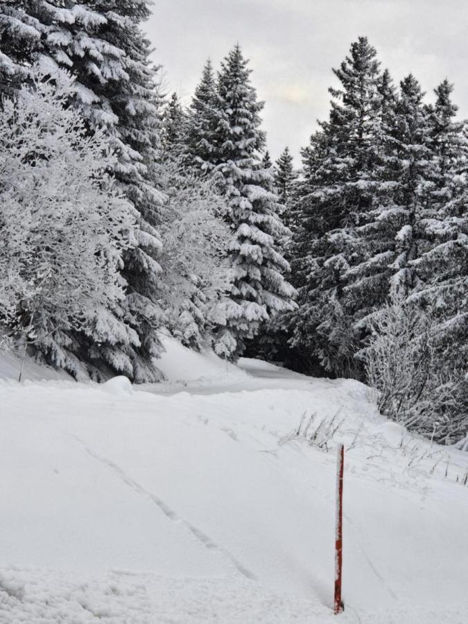Chamrousse 1700 - Asters A03 Διαμέρισμα Εξωτερικό φωτογραφία