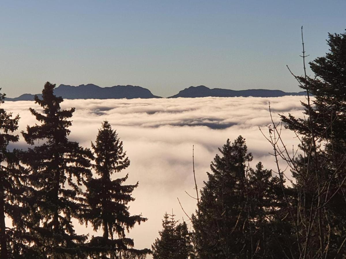 Chamrousse 1700 - Asters A03 Διαμέρισμα Εξωτερικό φωτογραφία